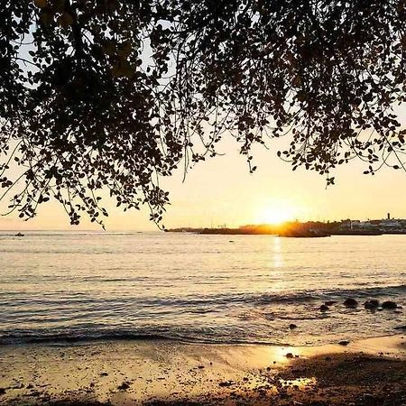 Appartement A 2 Pas De La Plage De Terre Sainte 외부 사진