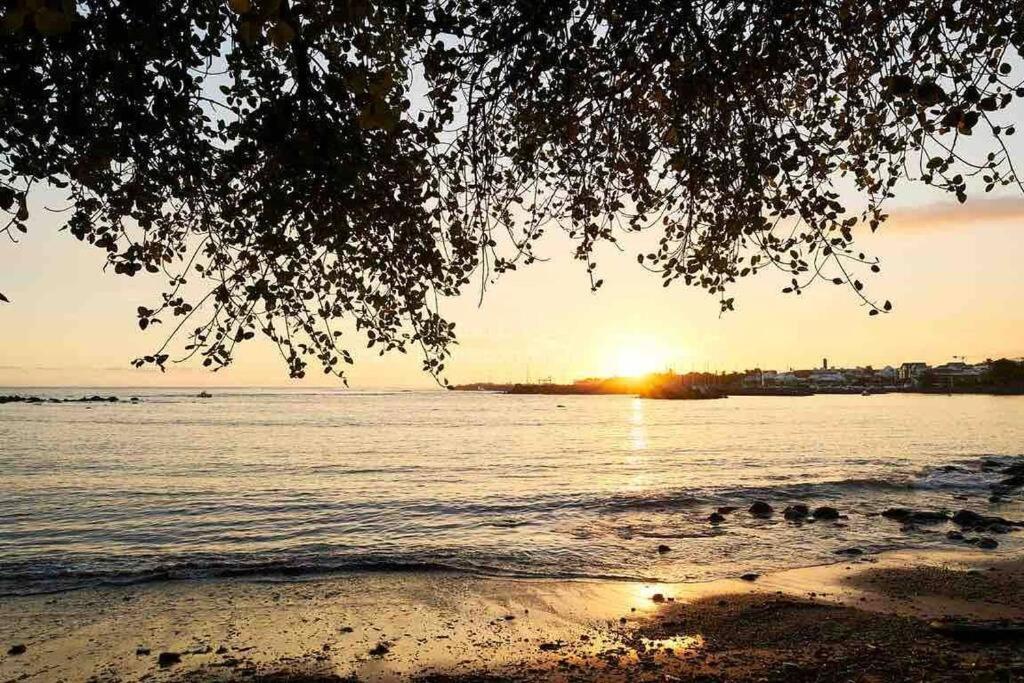 Appartement A 2 Pas De La Plage De Terre Sainte 외부 사진
